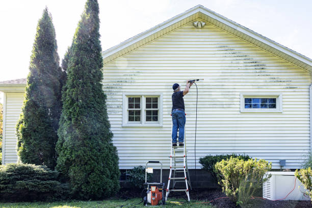 Best Concrete Pressure Washing  in Frackville, PA