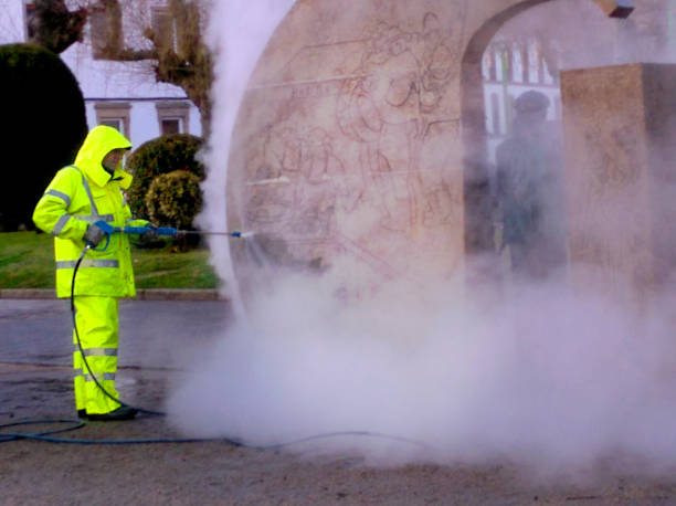 Best Roof Power Washing Services  in Frackville, PA