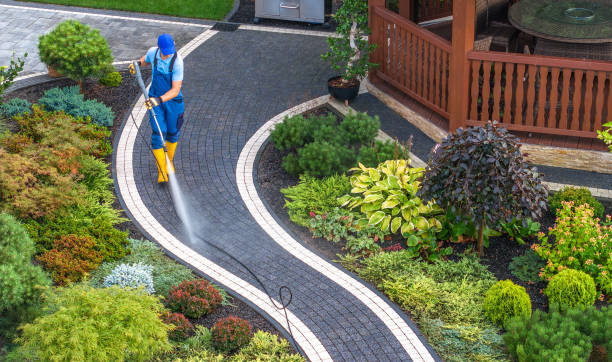 Best Exterior Home Cleaning  in Frackville, PA